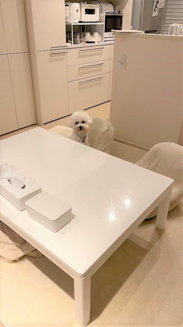 へーベルハウスのダイニング