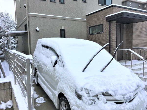 トヨタホームの家